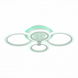 Светильник EVOLUCE SLE500552-04RGB