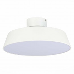 Светильник EVOLUCE SLE600252-01