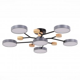 Светильник EVOLUCE SLE6006-702-06