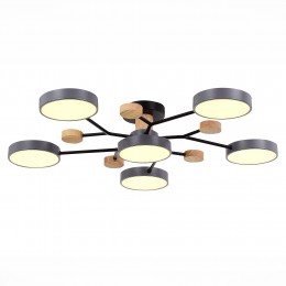 Светильник EVOLUCE SLE6006-702-06