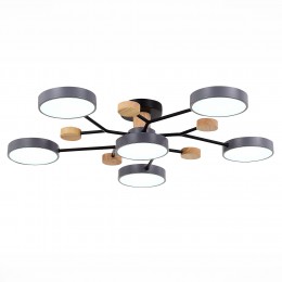 Светильник EVOLUCE SLE6006-702-06