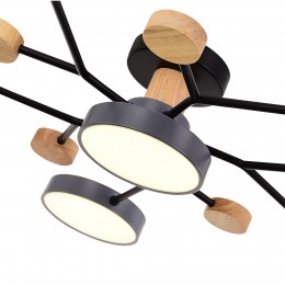 Светильник EVOLUCE SLE6006-702-06