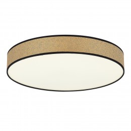 EVOLUCE SLE6010-502-60