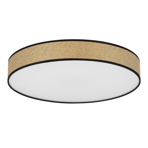 EVOLUCE SLE6010-502-60