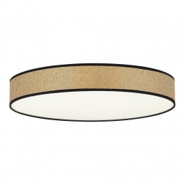 EVOLUCE SLE6010-502-60