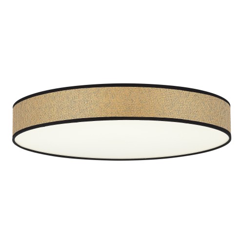 EVOLUCE SLE6010-502-60