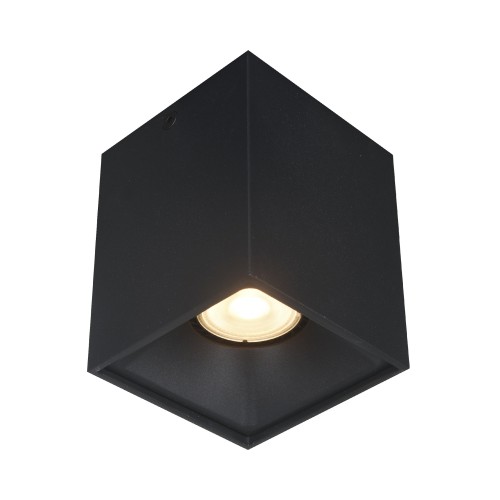 Потолочный светильник ST LUCE ST168.402.01