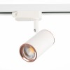 Трековый светильник ST LUCE ST301.526.01 