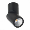 Потолочный светильник ST LUCE ST650.432.10