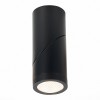 Потолочный светильник ST LUCE ST650.432.10