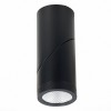 Потолочный светильник ST LUCE ST650.432.10