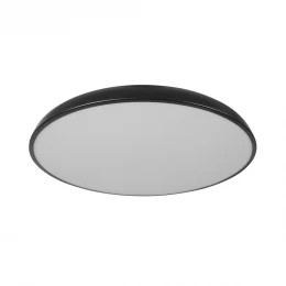 10371 Black Потолочный светильник LOFT IT Dime