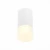 Потолочный светильник ST LUCE ST100.512.01 Потолочный светильник ST LUCE ST100.512.01