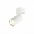 Потолочный светильник ST LUCE ST303.502.01 Потолочный светильник ST LUCE ST303.502.01
